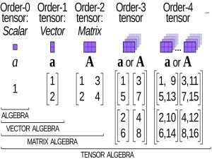 مروری بر تنسورها در PyTorch